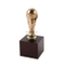Customized World Cup Resin Craft Statue with Wooden Stand (RC01)