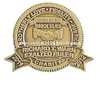 High Quality Gear Shape Soft Enamel Stamped Brass Custom Coin