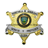Gold Plating Color Enamel Metal Badge