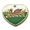 Custom Heart Shape Enamel Filling Pet Dog Tag